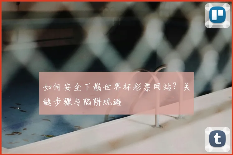 如何安全下载世界杯彩票网站?关键步骤与陷阱规避
