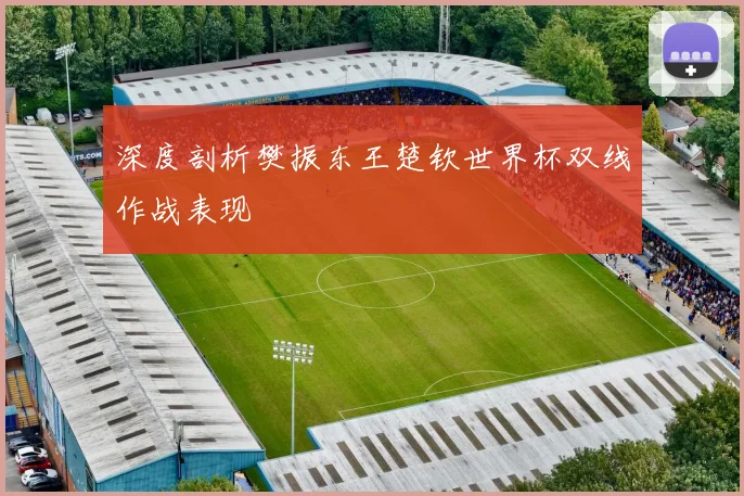 深度剖析樊振东王楚钦世界杯双线作战表现