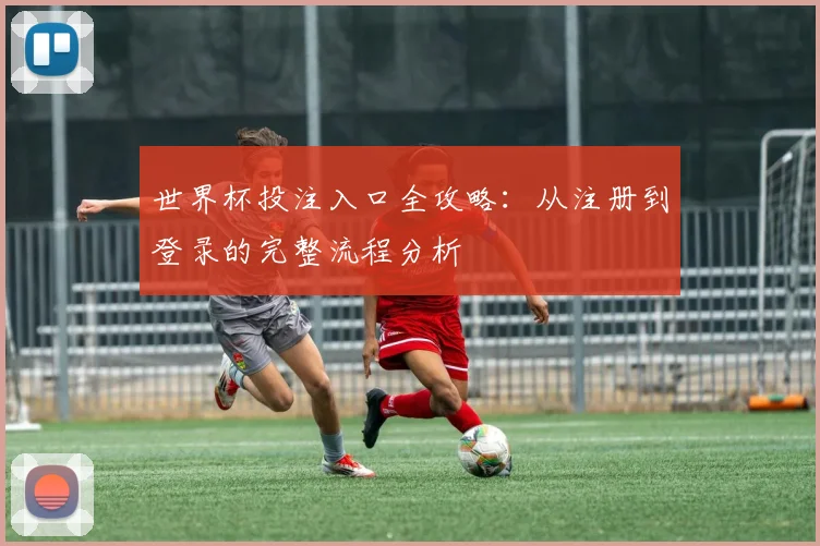 世界杯投注入口全攻略：从注册到登录的完整流程分析