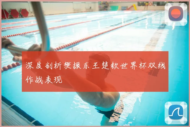深度剖析樊振东王楚钦世界杯双线作战表现
