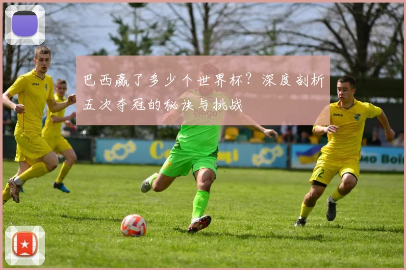 巴西赢了多少个世界杯？深度剖析五次夺冠的秘诀与挑战
