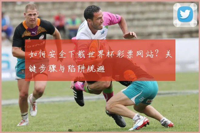 如何安全下载世界杯彩票网站?关键步骤与陷阱规避